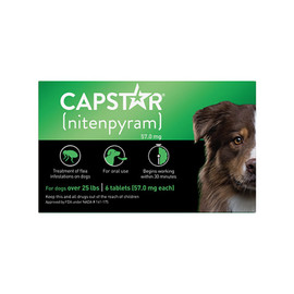 Capstar Oral Flea Treatment for Dogs 25 lbs and Up - Front