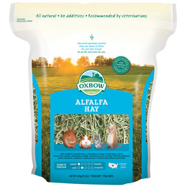 Oxbow Alfalfa Hay for Small Animals - Front, 15 oz