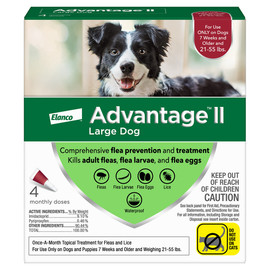 Advantage II Flea Prevention for Large Dogs (21 - 55 lbs) - Front