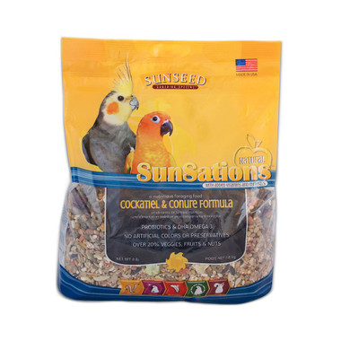 cockatiel and sun conure