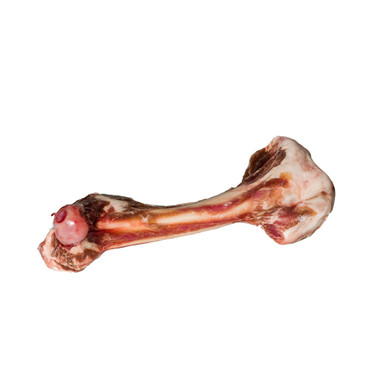 raw beef femur bones for dogs