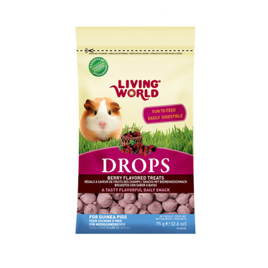 good guinea pig treats