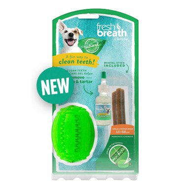 fresh breath dental chews
