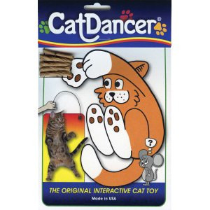 cat dancer rainbow cat charmer