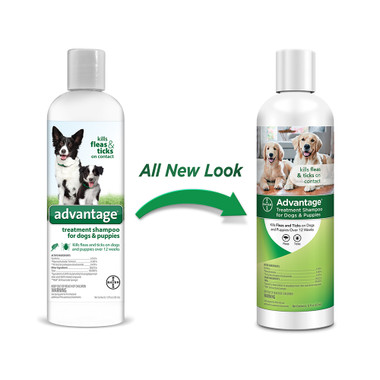 advantage flea and tick shampoo for cats