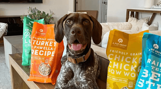 Dog posing next to A Pup Above dog food