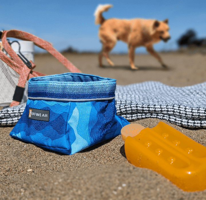 Close up on beach supplies as dog walks by in the background