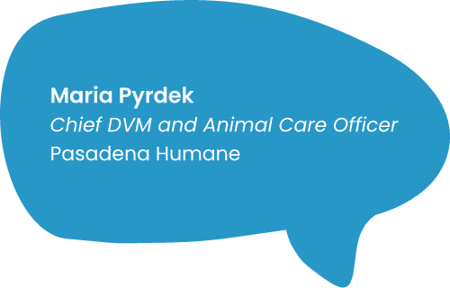 Maria Pydrek, Chief DVM and Animal Core Officer, Pasadena Humane