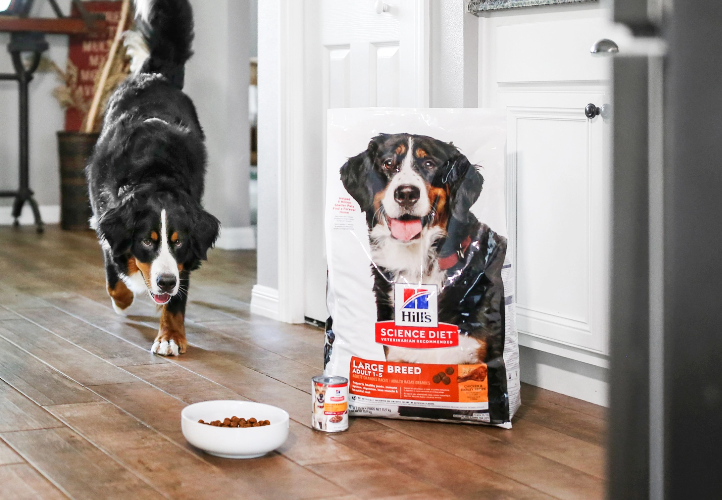 dog eating hill's dog food out of a bowl