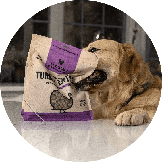 Pet Food Express Delivery