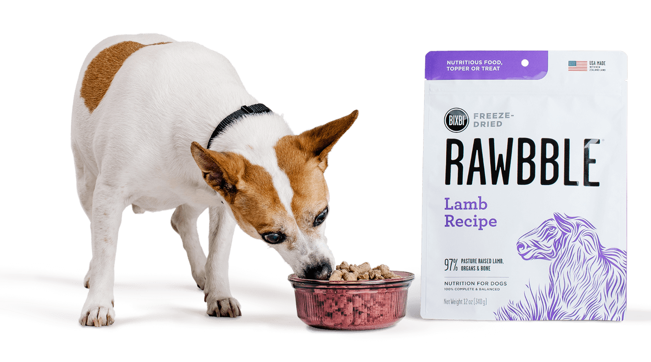 Dog sniffing Bixbi rawbble products