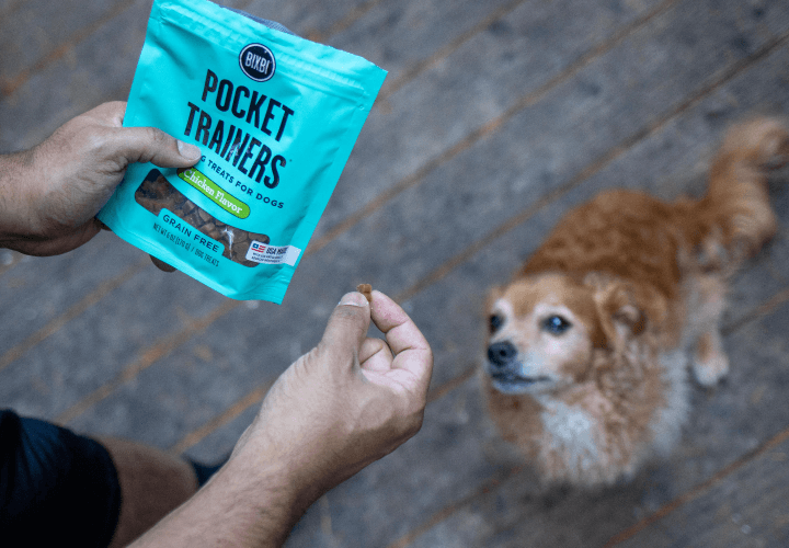 Dog in sit position looking up at owner holding Bixbi Pocket Trainers treats.