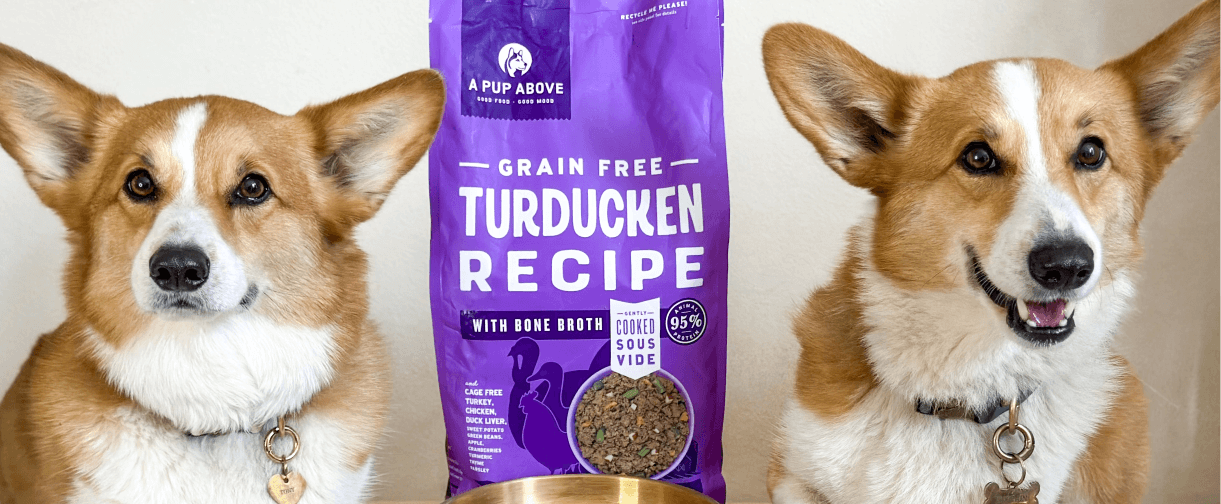 Two corgis posing with a bag of A Pup Above product