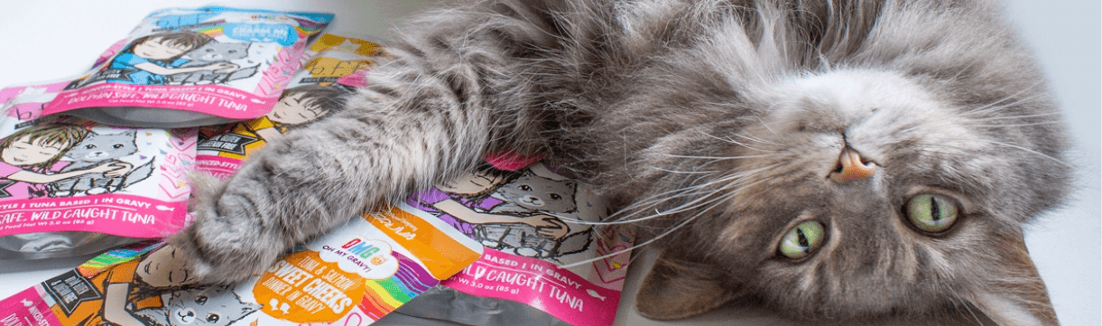 Cat laying down next to Weruva supplements