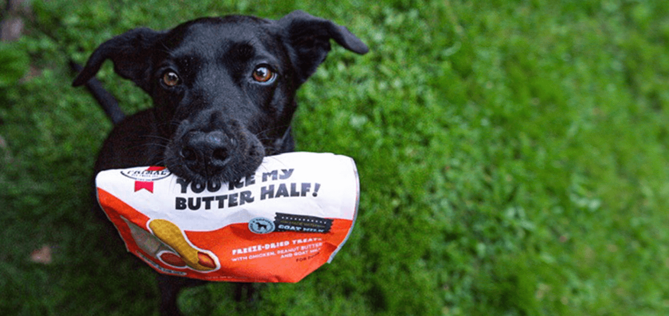 Busy Butter for Dogs Review: Read BEFORE You Buy!