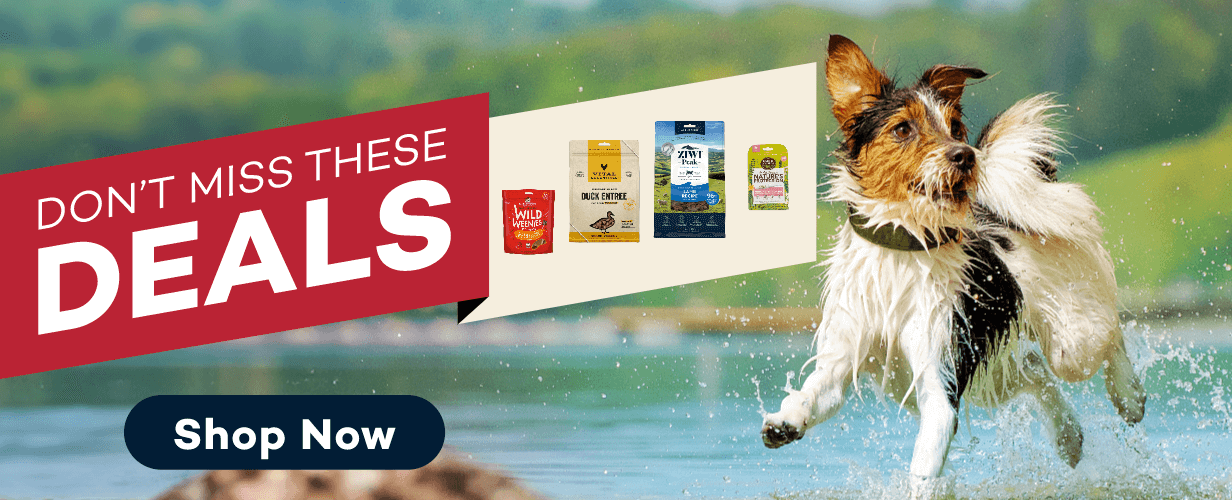 Don't miss these deals! Shop now!