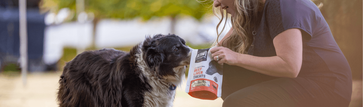 Dog about to receive a Kiwi Kitchens Beef Liver treat