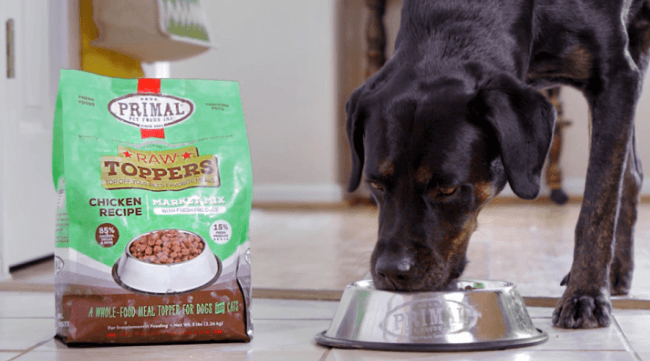 Dog eating Primal dog food