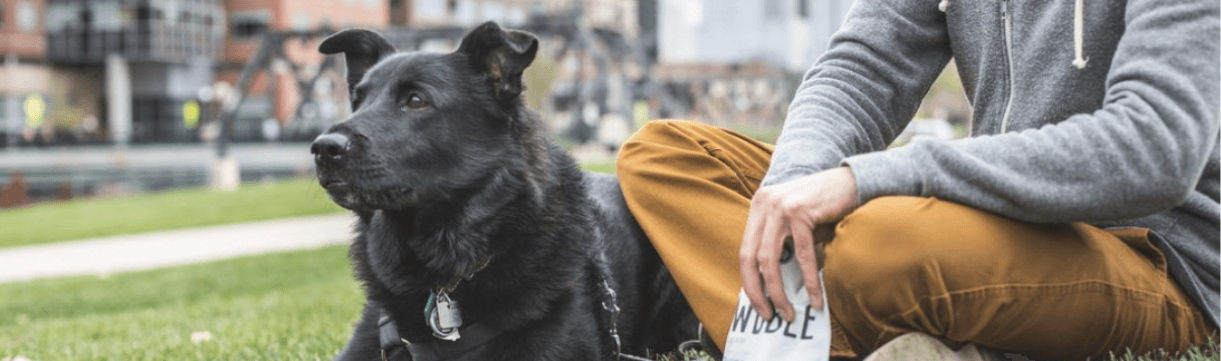 Dog laying in grass next to person holding a Bixbi Rawbble bag