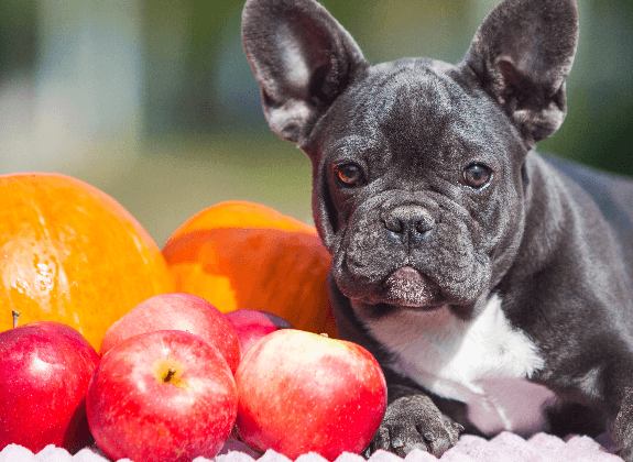 are apples ok for dogs