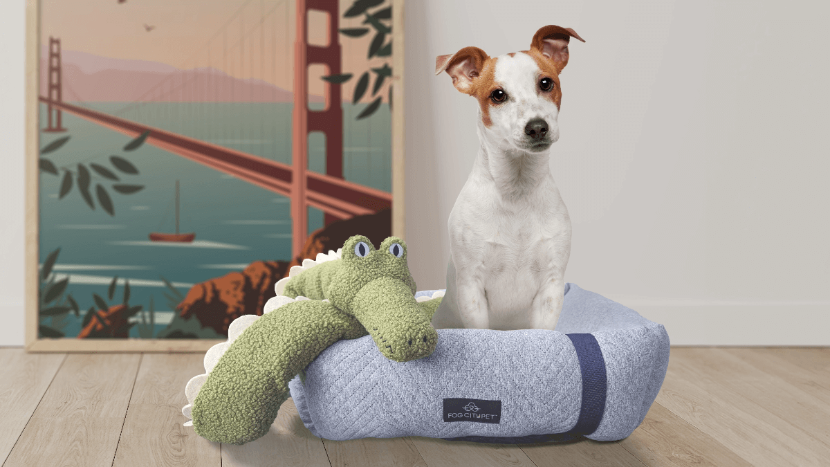 Dog plays with Fog City Pet plush toys