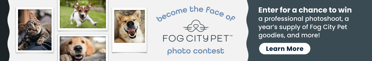 Enter for a chance to win a professional photoshoot, a year's supply of Fog City Pet goodies, and more! Learn More