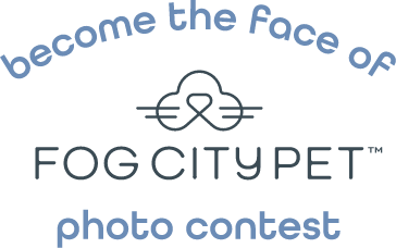 Fog City Pet Photo Contest