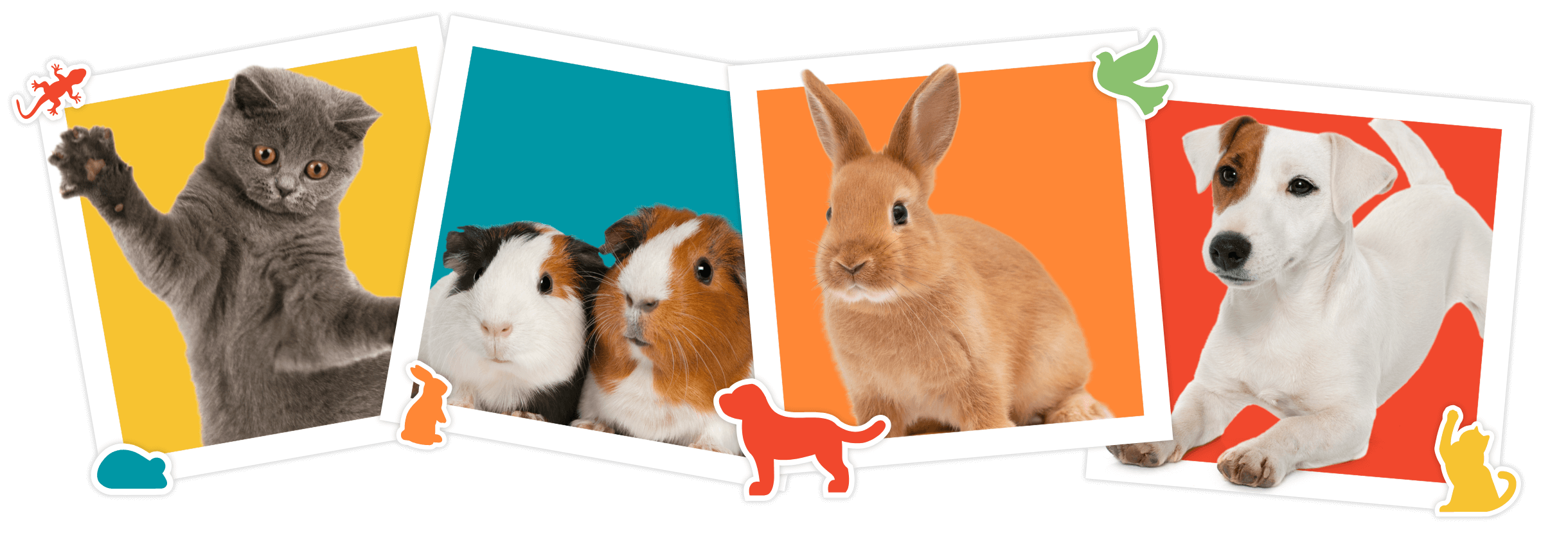 Pet Food Express Virtual Pet Fair