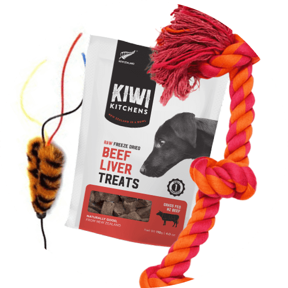 Pet Food Express Delivery