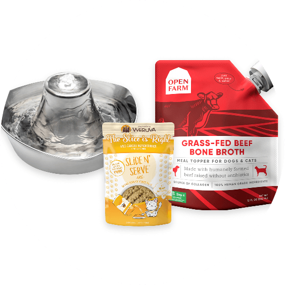 Pet Food Express Delivery