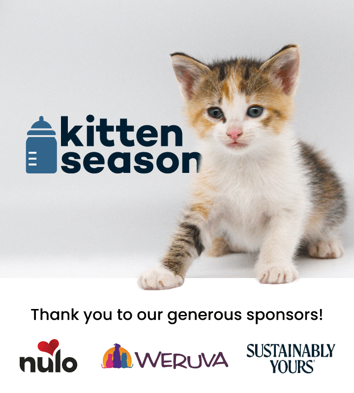 Kitten season, thanks to our generous sponsors: Nulo, Weruva, Sustainably Yours