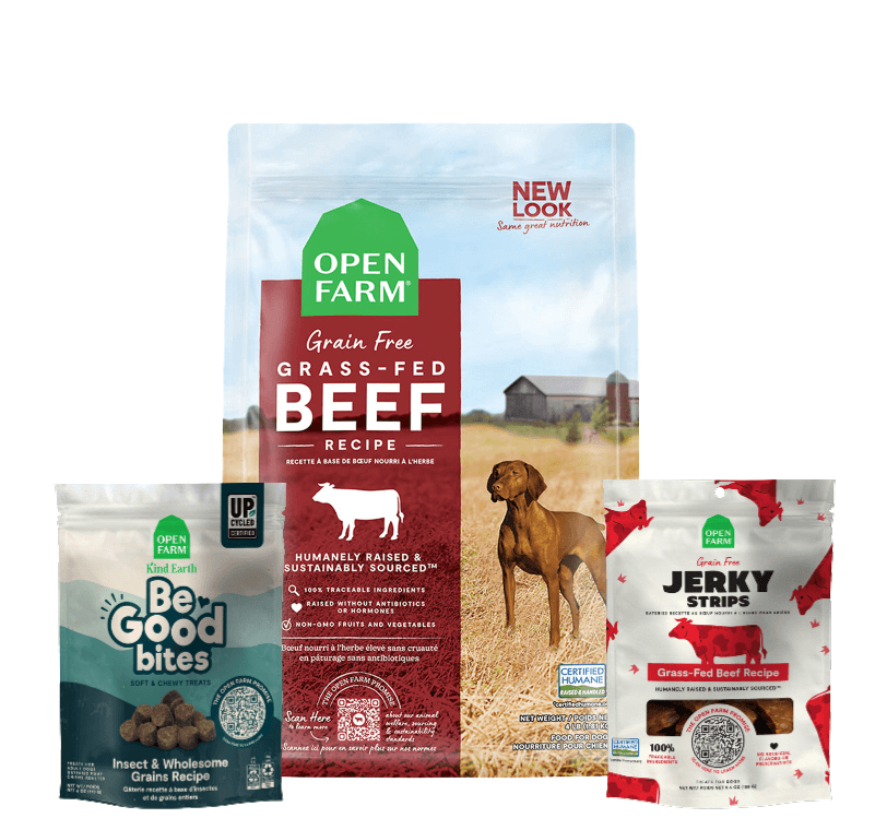 Open farm kibble and dog treats