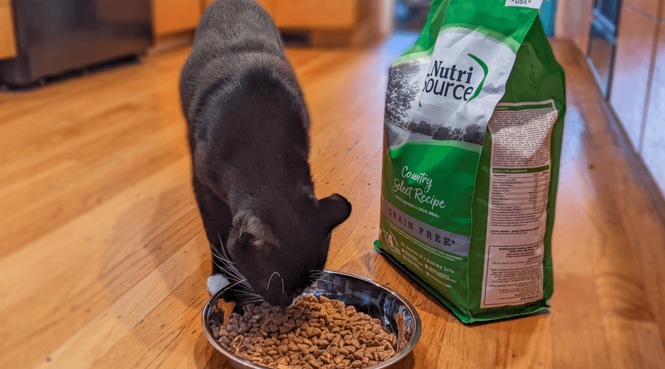 Cat eating Nutrisource kibble from dish