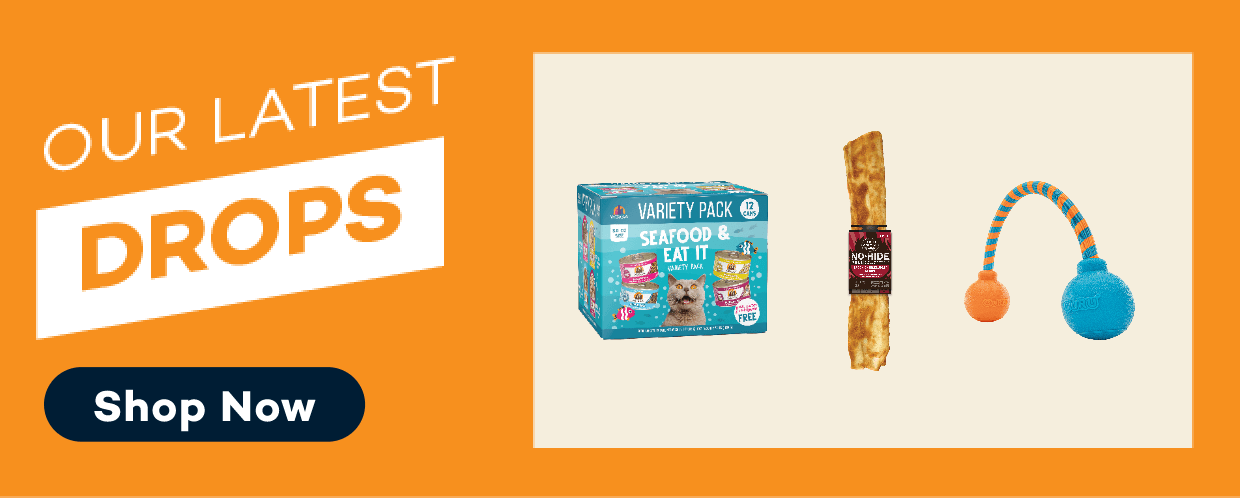 Our latest drops! Shop now!