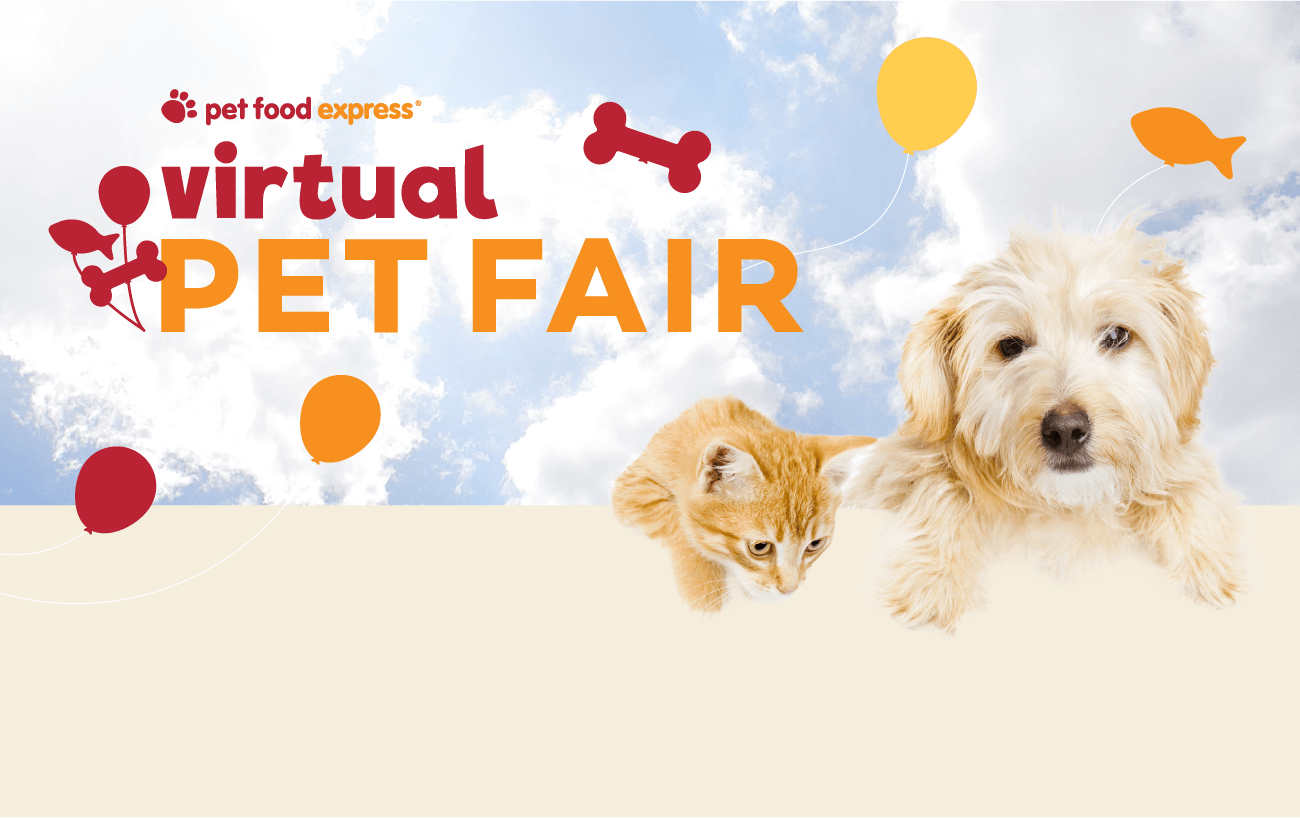 Virtual Pet Fair logo with balloons with dog and cat