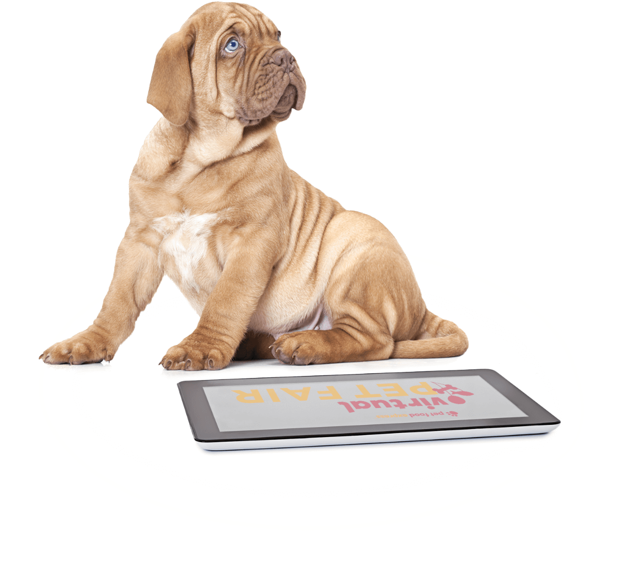 Pet Food Express Virtual Pet Fair 2022