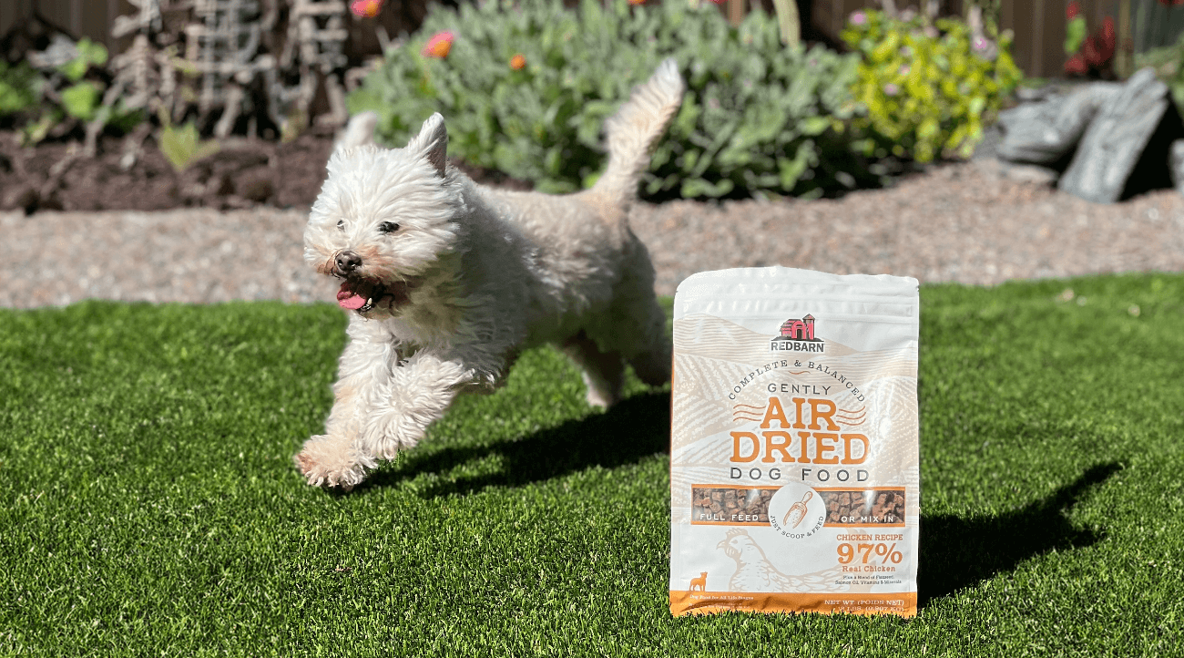 Dog runing on a lawn next to a bag of Redbarn food