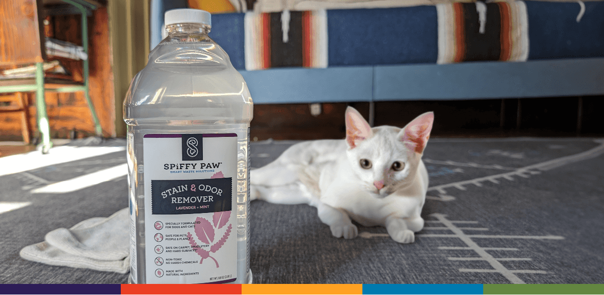 Short haired cat reclines behind bottle of Spiffy Paw cleaner