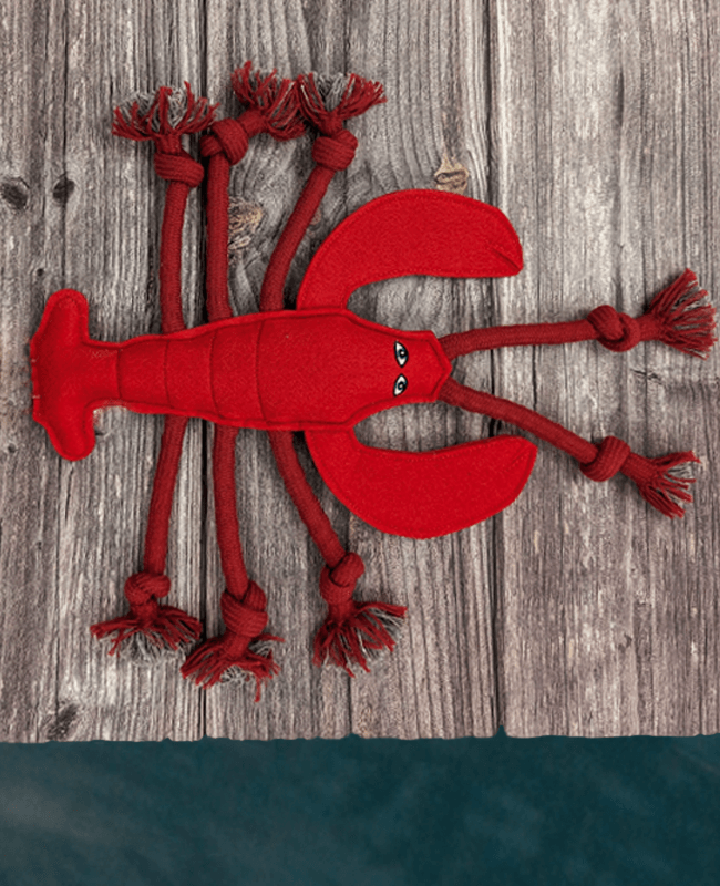 Dog Toy Lobster