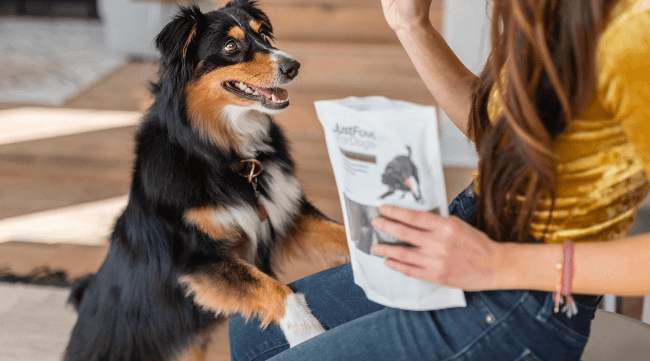 Dog waiting patiently for a JustFoodForDogs treat