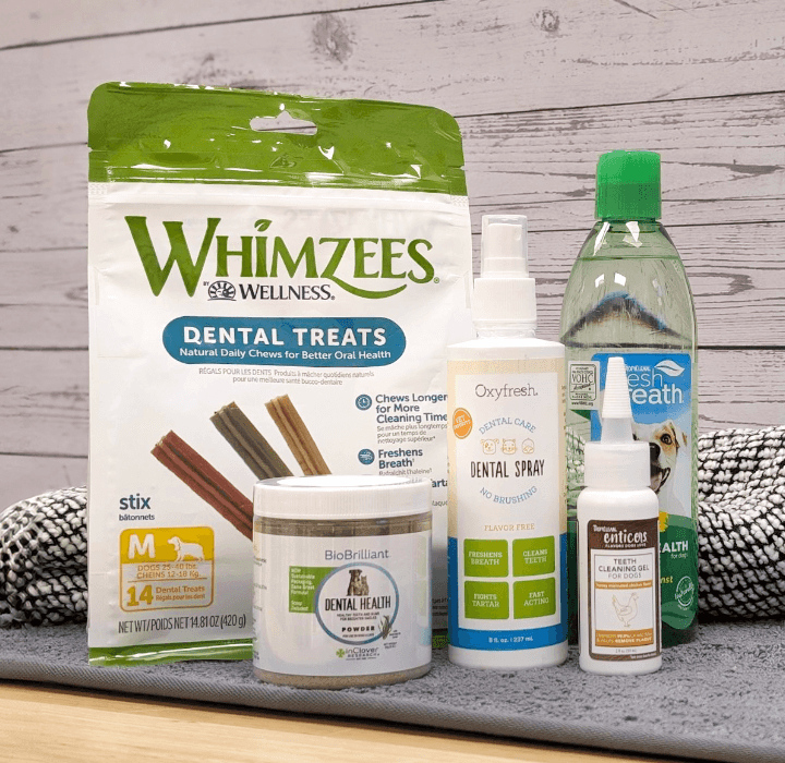 Pet Food Express Delivery