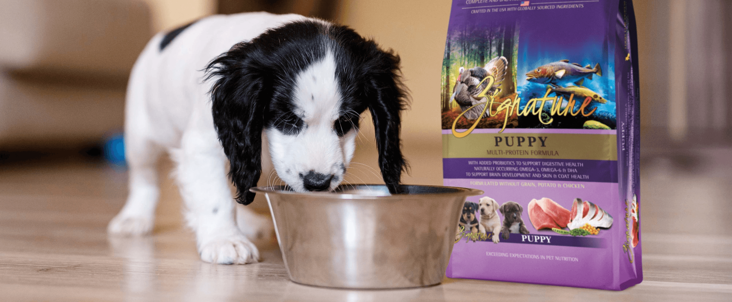 Black and white puppy eats from a bowl next to a bag of Zignature product