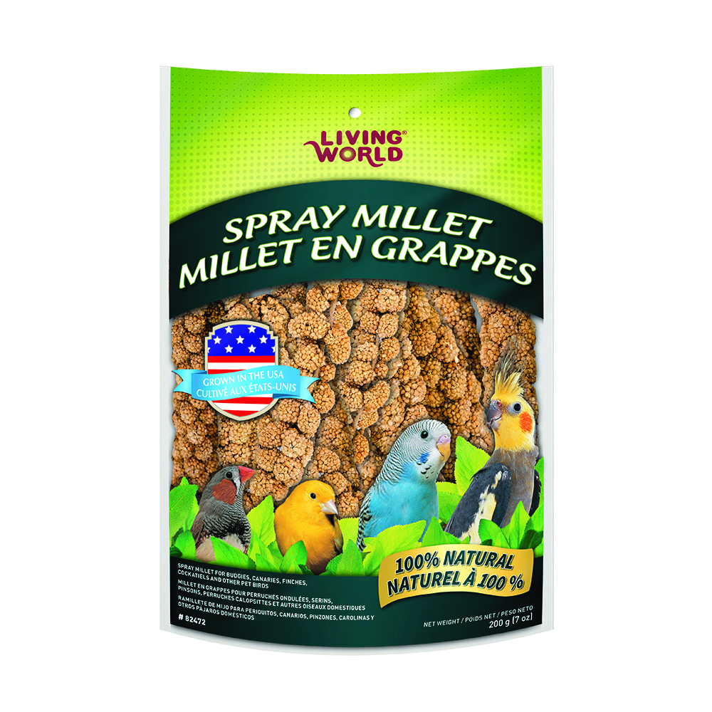 Shop Small Animal & Bird Bird Pet Food Express