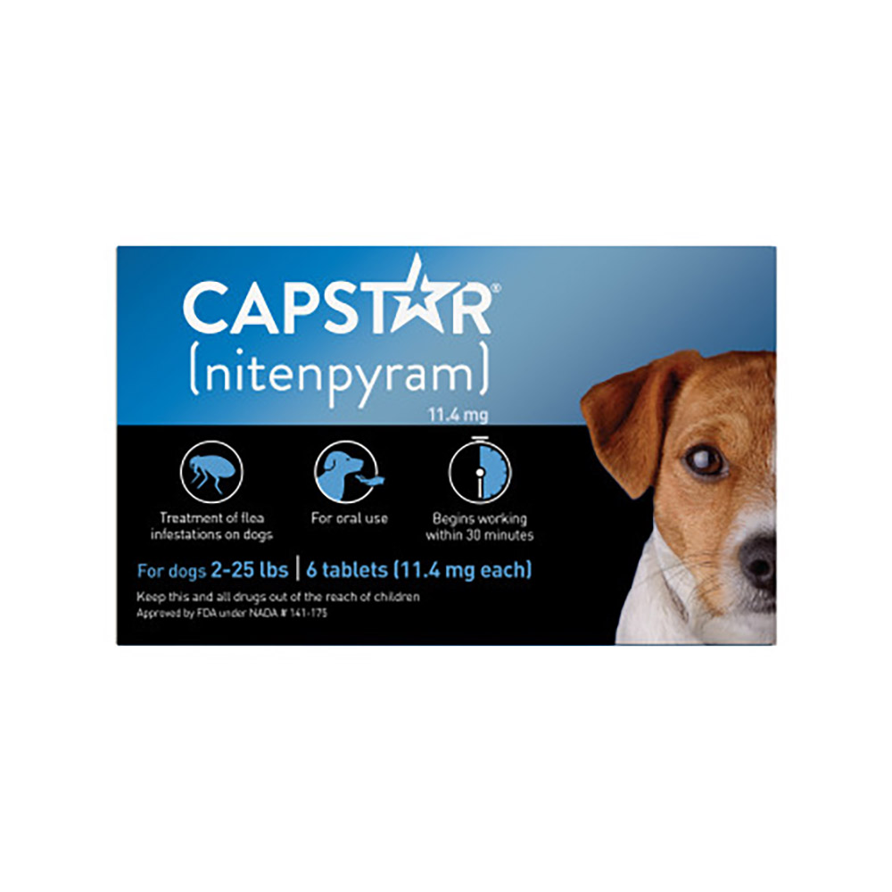 Capstar Oral Flea Treatment for Dogs 2-25 lbs - Front