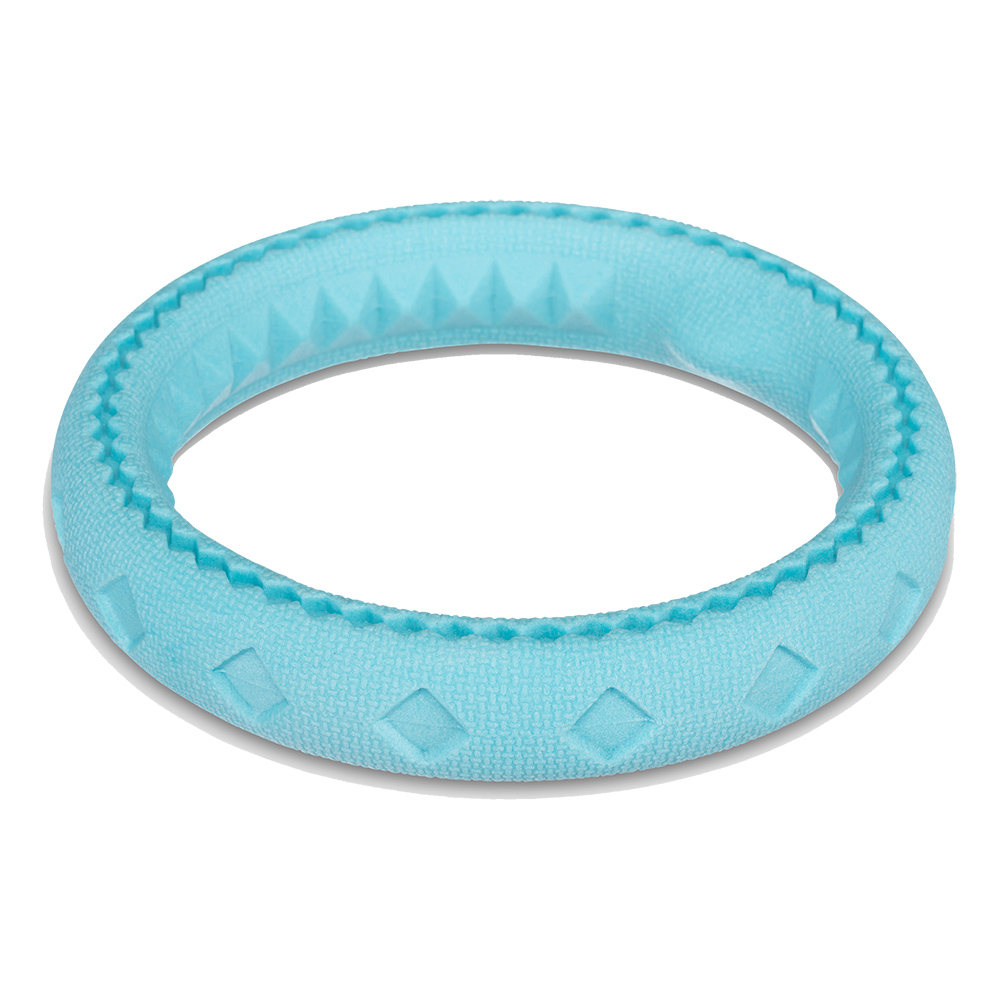 Totally Pooched Chew n' Tug Ring Dog Toy - Front