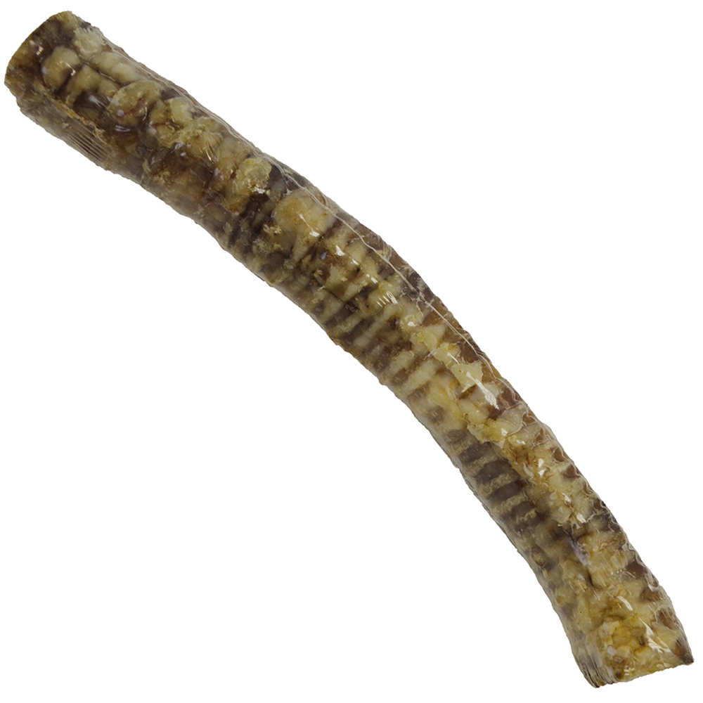 Fog City Pet 12" Beef Trachea Dog Chew Treat - Front