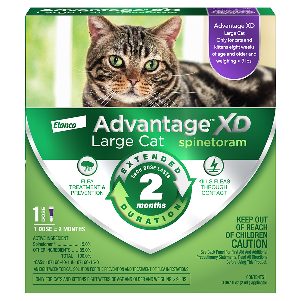 Advantage XD Flea Treatment & Prevention for Large Cats (Over 9 lbs) - Front