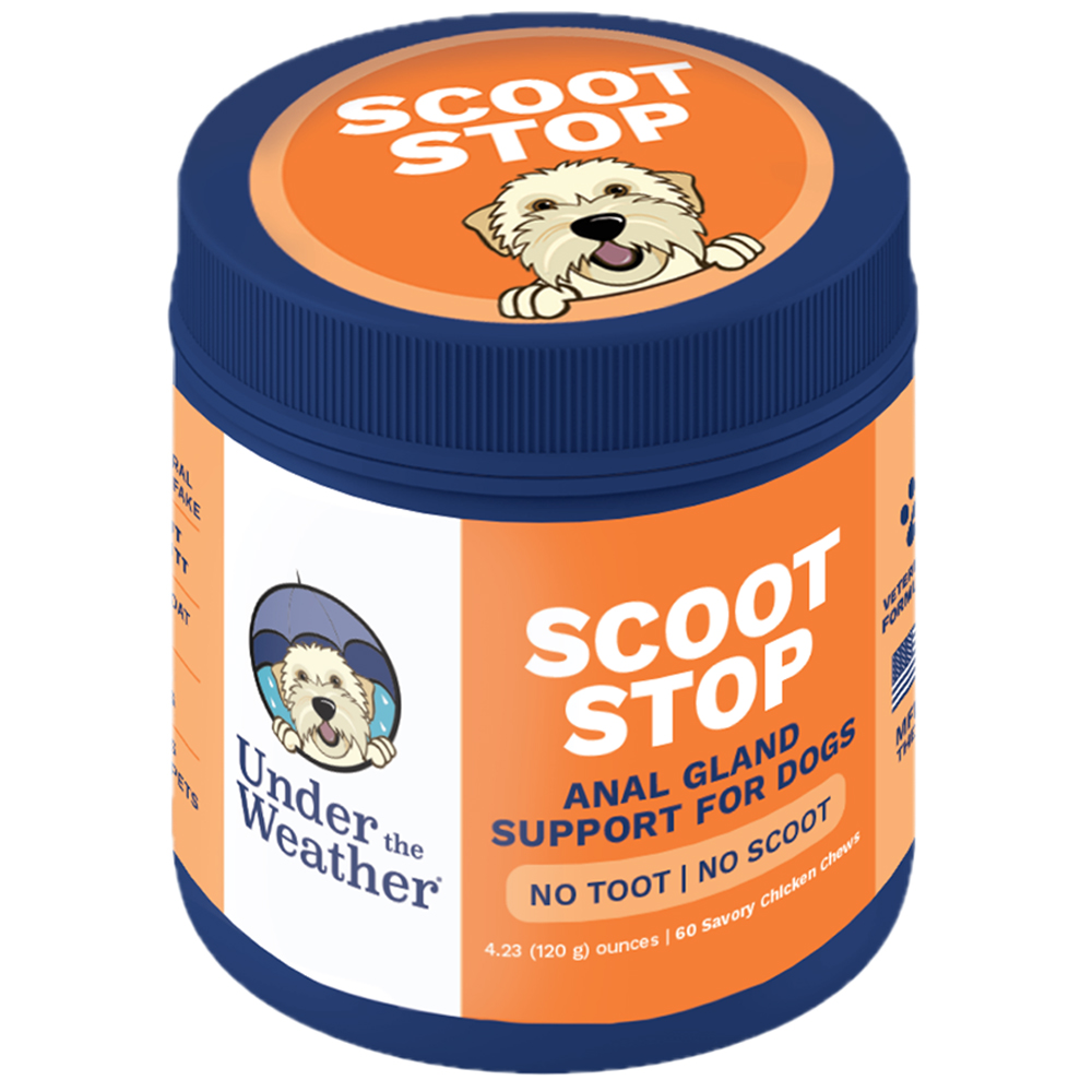 Under The Weather Scoot Stop Anal Glad Support Soft Chews for Dogs - Front
