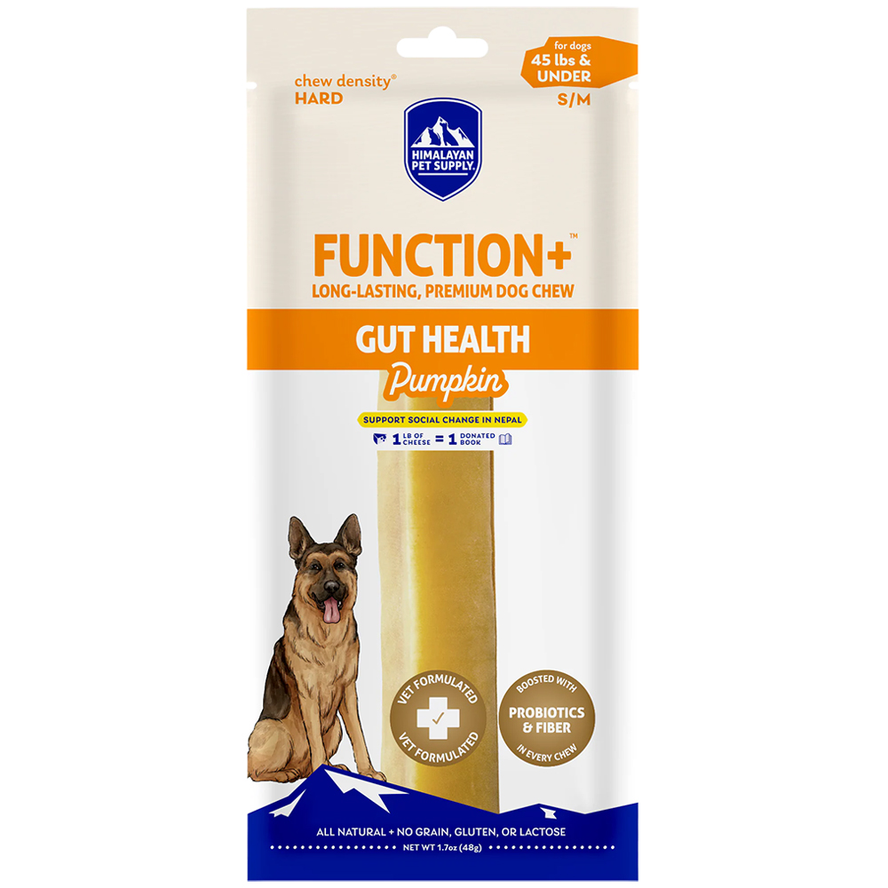 Himalayan Function+ Gut Health Pumpkin Dog Chew Treat - Front, Small/ Medium 1.7 oz