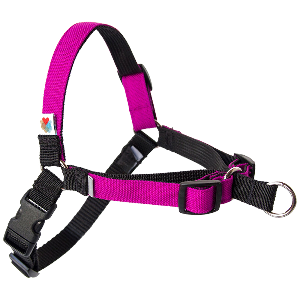 Wildebeest Fuchsia Linden No Pull Dog Harness - Front